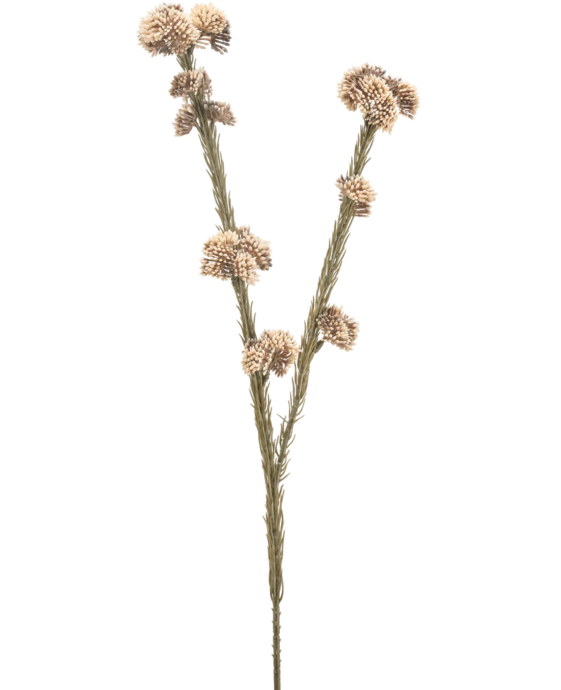 Kunstbloem Ozothamnus diosmifolius 57 cm creme/bruin