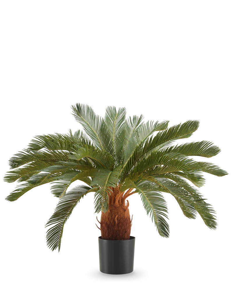 Kunstplant Cycas UV 90 cm