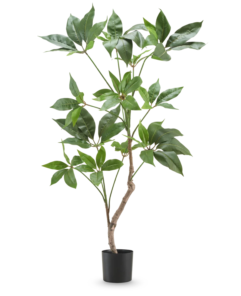 Kunstplant Schefflera 90 cm