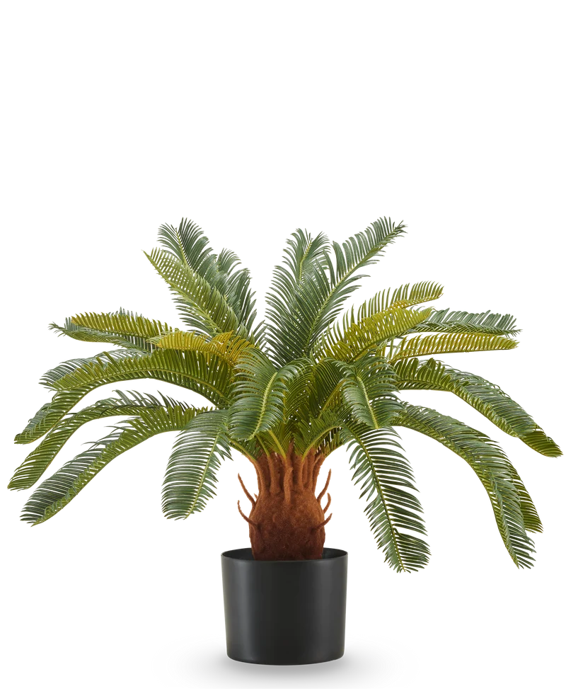 Kunstplant Cycas UV 60 cm