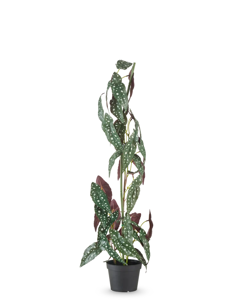 Kunstplant Begonia Maculata 90 cm groen/rood