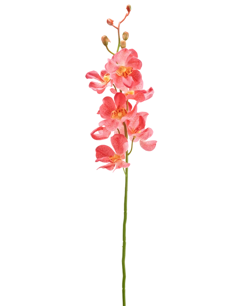 Kunstbloem Orchidee 55 cm roze