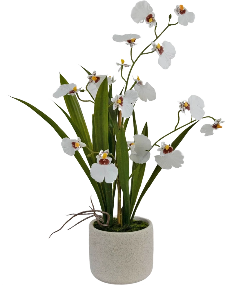 Kunst Oncidium Real Touch 48 cm wit