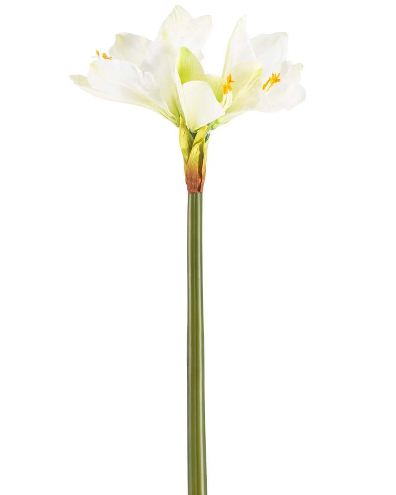 Kunstbloem Amaryllis Real Touch wit 66 cm