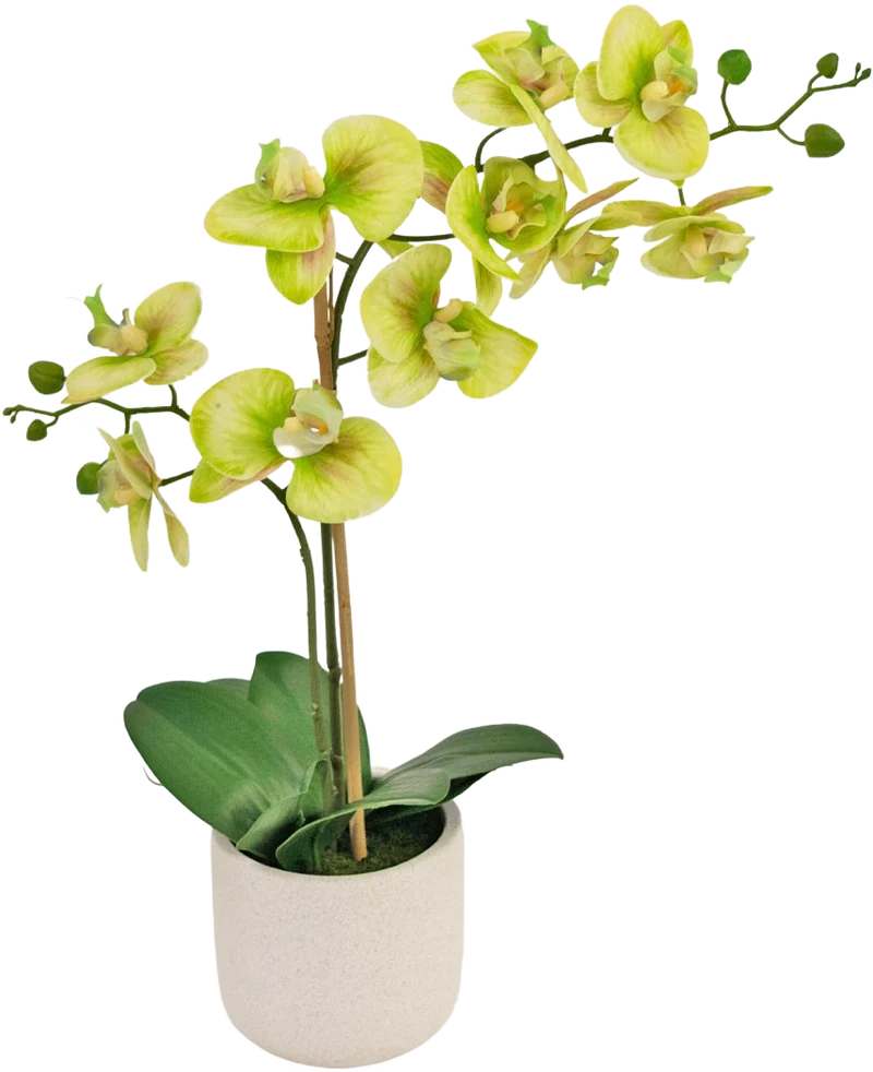 Kunst Orchidee Real Touch 60 cm groen