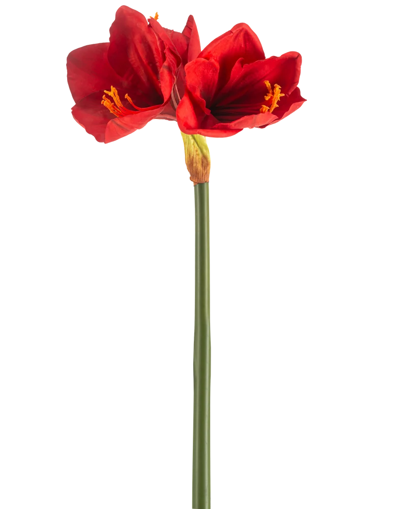 Kunstbloem Amaryllis Real Touch rood 66 cm