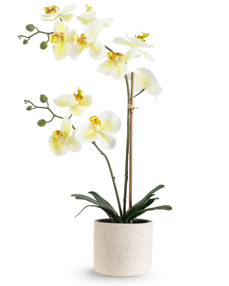 Kunst Orchidee Real Touch 60 cm groen/wit