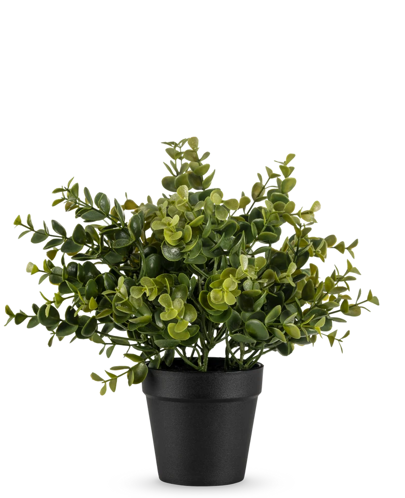 Kunstplant Pumila 25 cm