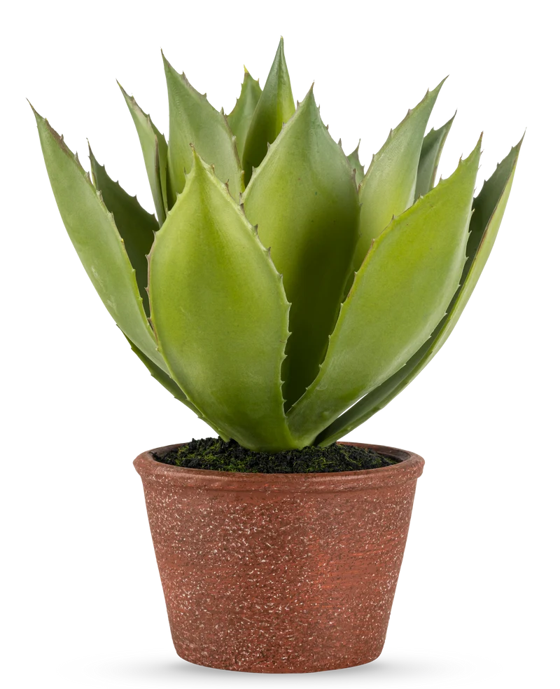 Kunstplant Agave 25 cm