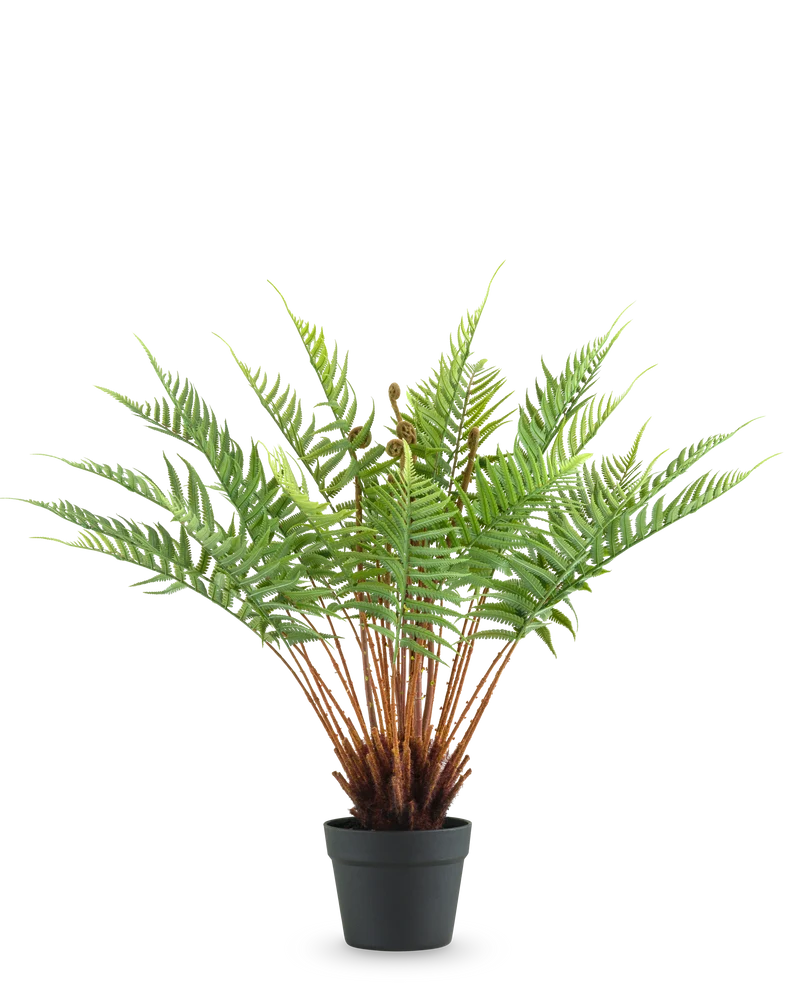 Kunstplant Varen 66 cm
