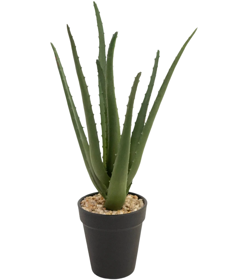 Kunstplant Aloe Vera 33 cm