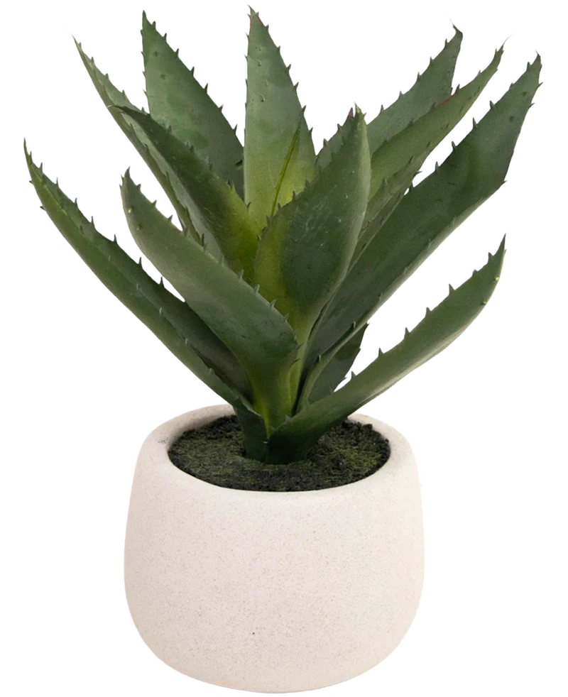 Kunstplant Aloe Vera 28 cm in sierpot