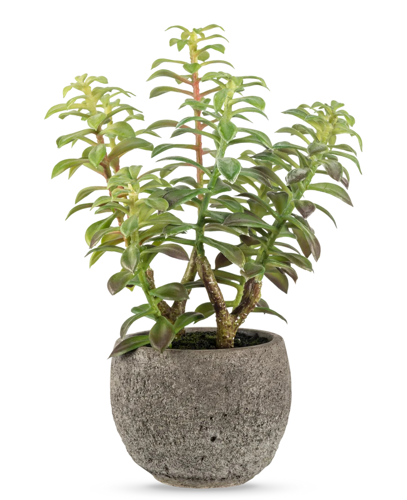 Kunst vetplant in sierpot 31 cm