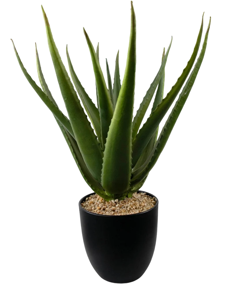Kunstplant Aloe Vera 45 cm