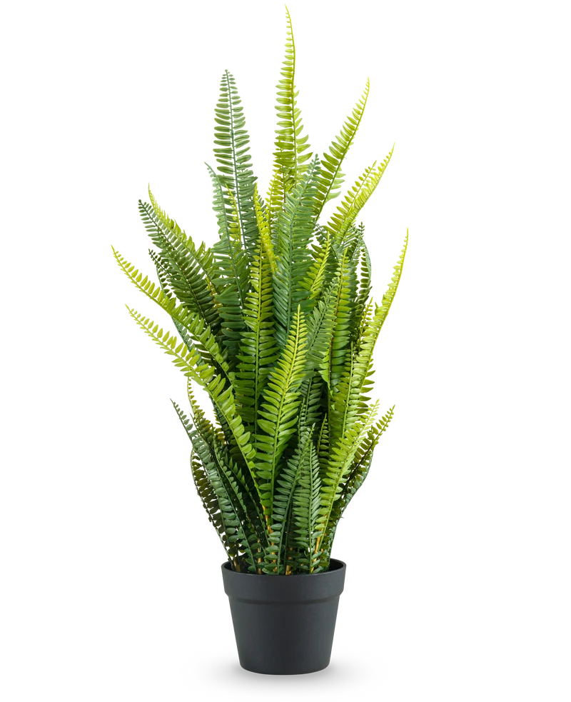 Kunstplant Boston Varen 86 cm
