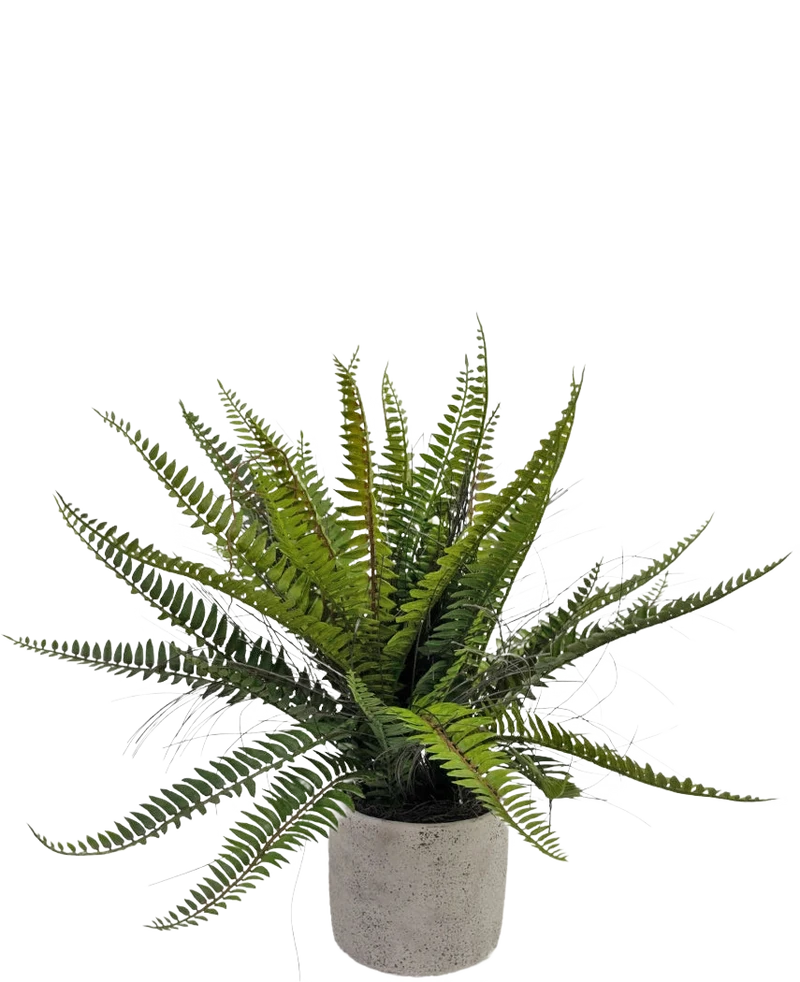 Kunstplant Boston Varen 48 cm in sierpot