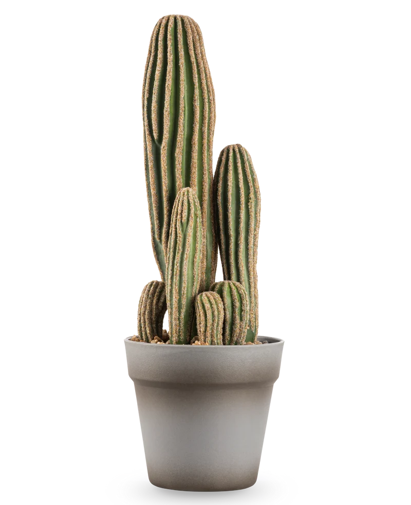 Kunst Cactus 41 cm