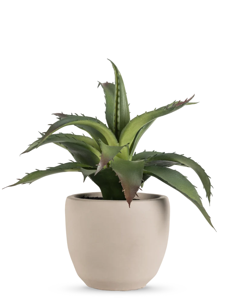 Kunst vetplant 20 cm in sierpot