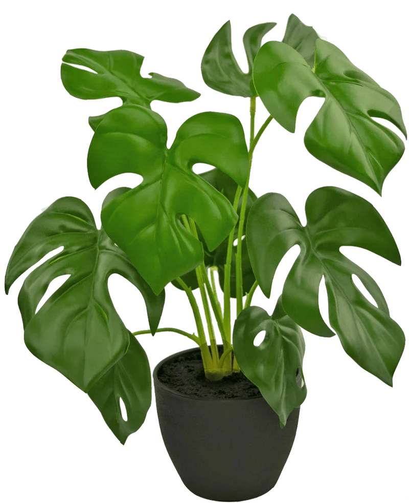 Kunst Monstera 40 cm in sierpot zwart
