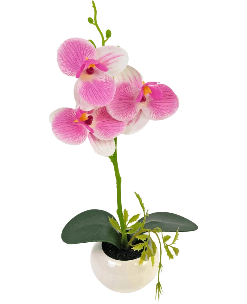 Kunst Orchidee 28 cm wit/roze in pot