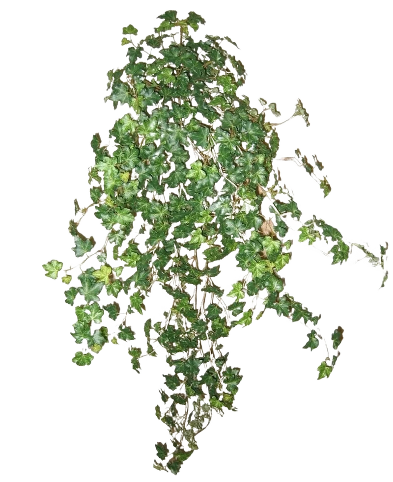Kunst Klimop Deluxe Groen 90cm