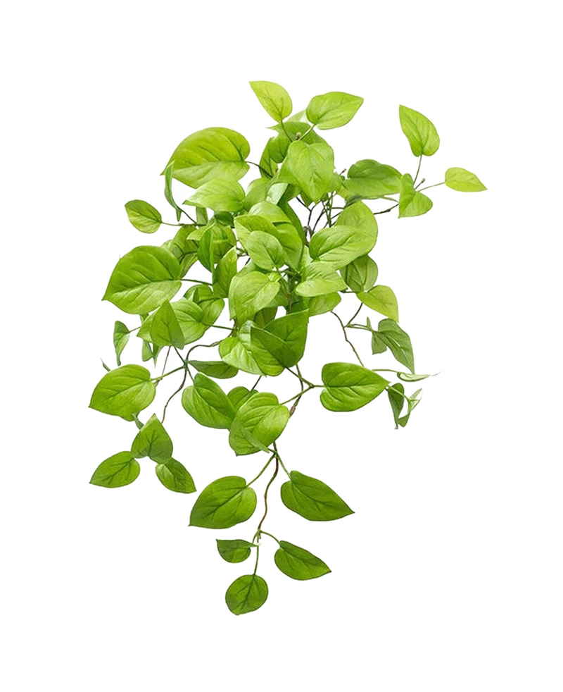 Kunst Pothos Struik Deluxe 60cm