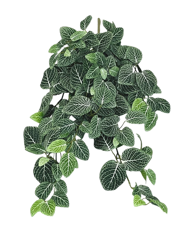 Kunst hangplant Fittonia Groen-wit 70 cm