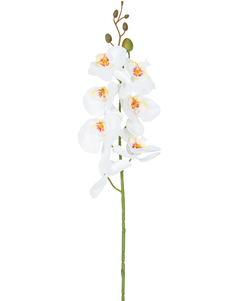 Kunstbloem Orchidee 84 cm wit