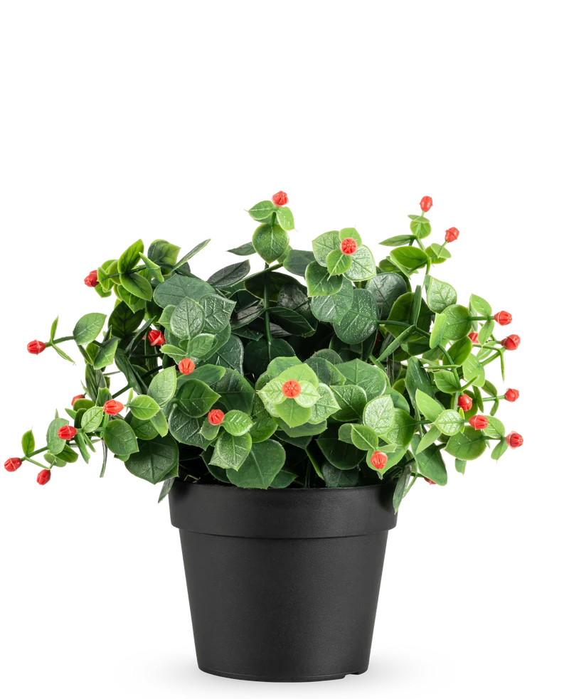 Kunstplant Eucalyptus rood in pot UV 22 cm