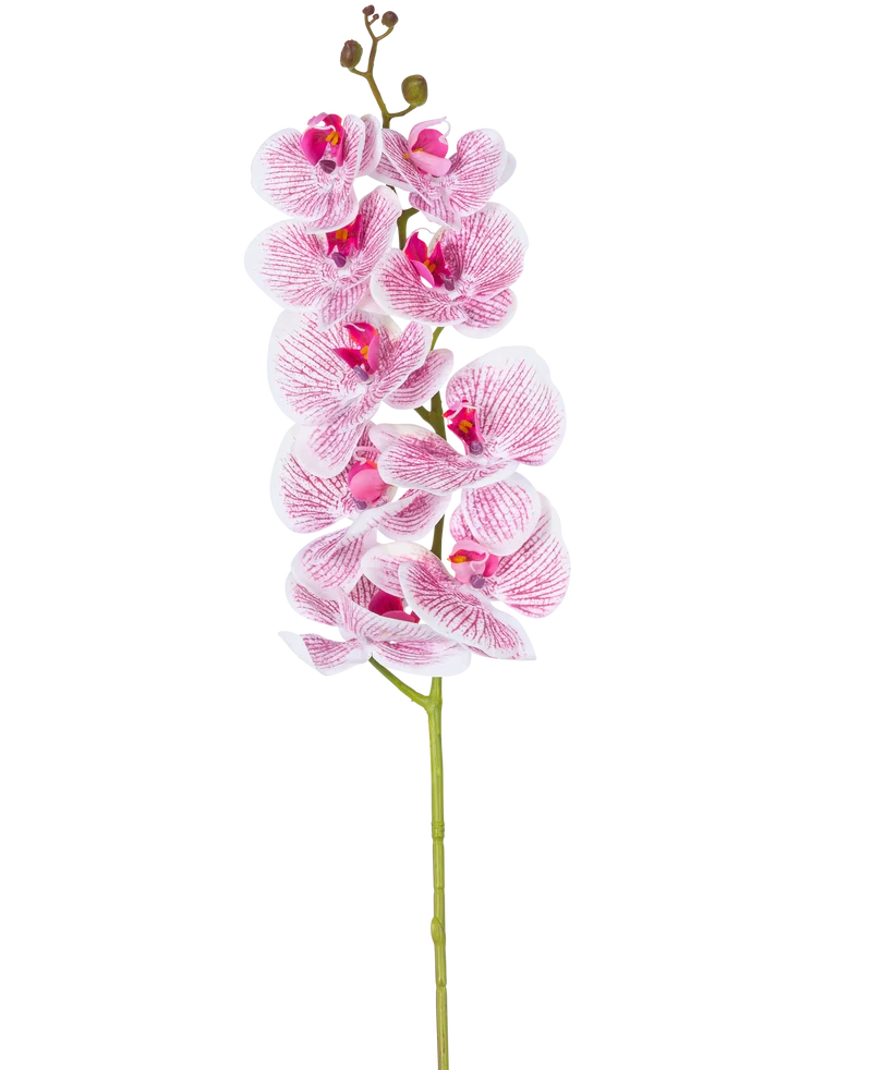 Kunst Orchidee Real Touch Deluxe 105 cm fuchsia/wit