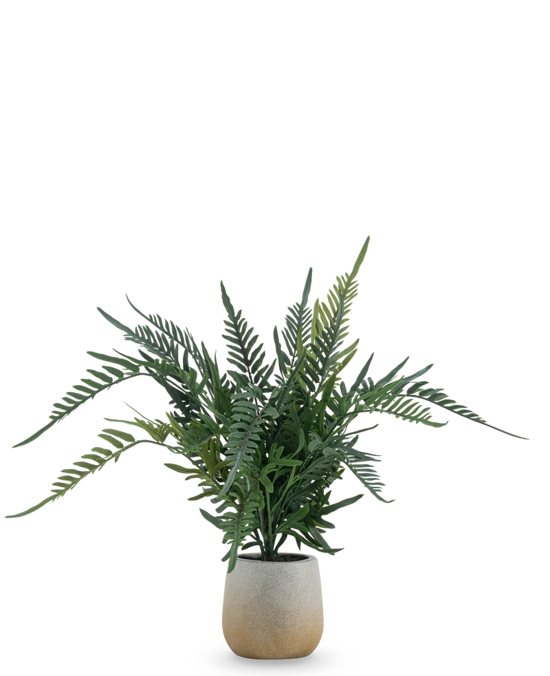 Kunstplant Varen 51 cm
