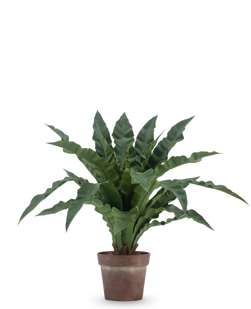 Kunstplant Nestvaren 61 cm