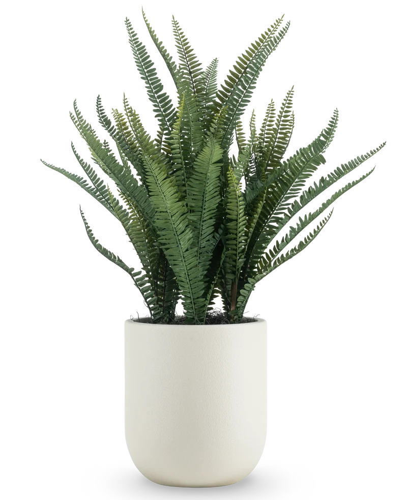 Kunstplant Bostonvaren 82 cm