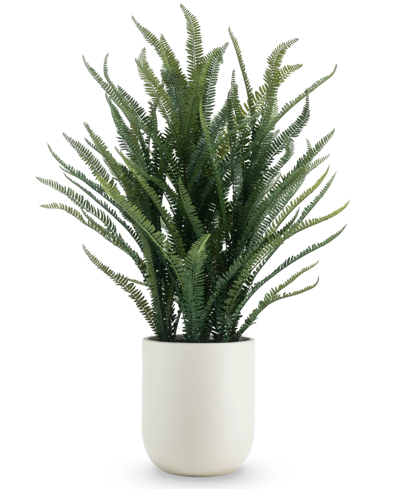 Kunstplant Bostonvaren 127 cm