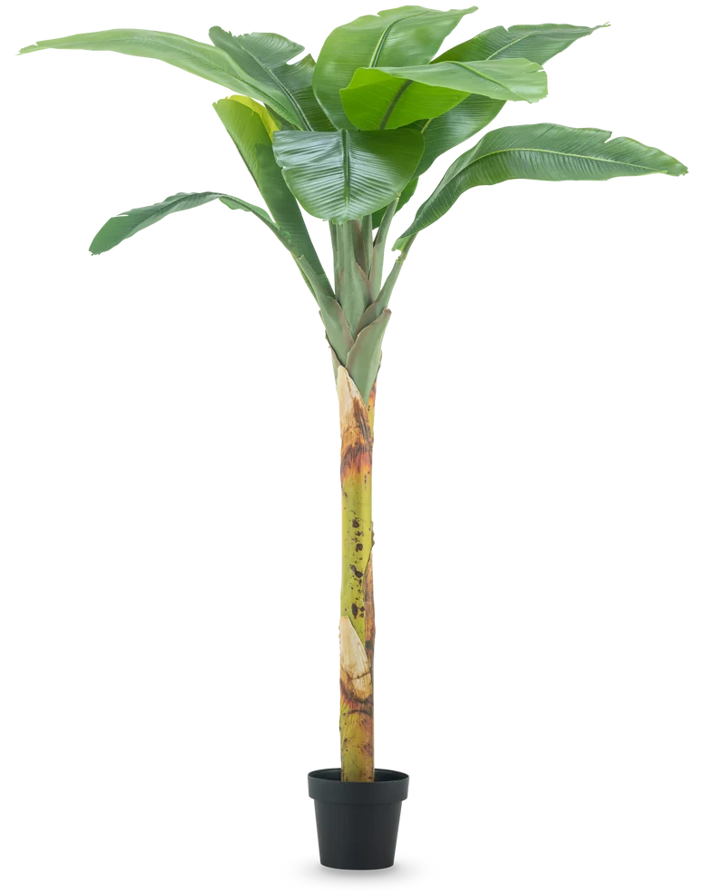 Kunstplant Bananenboom 180 cm