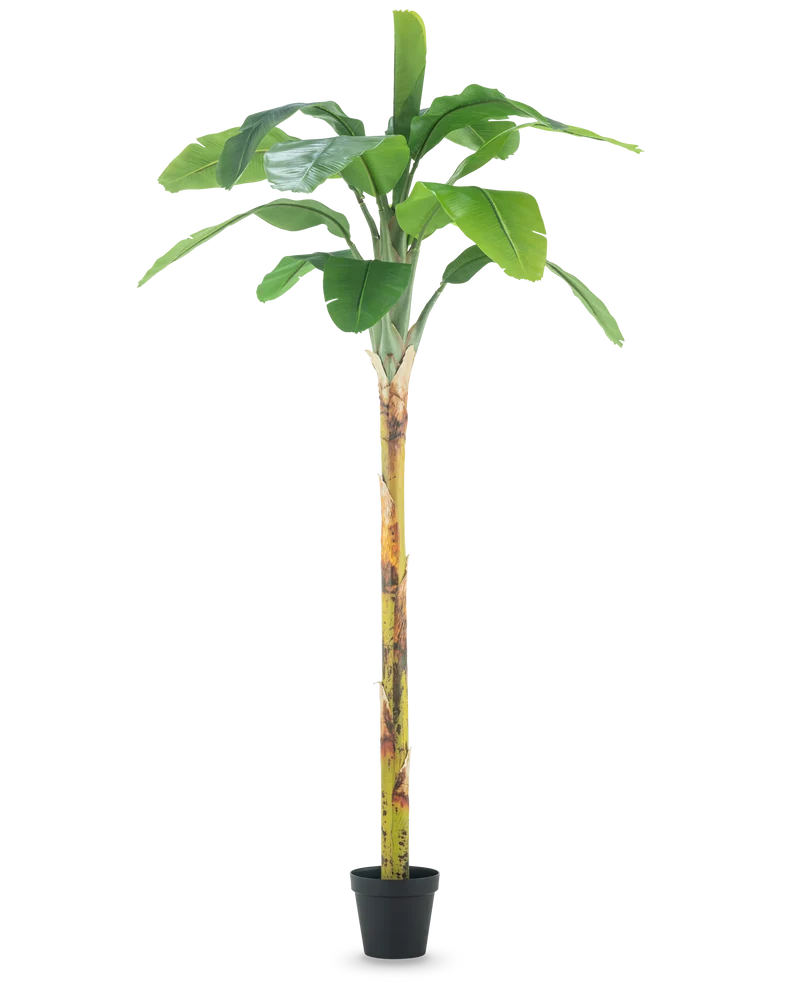 Kunstplant Bananenboom 250 cm