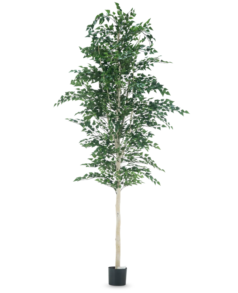 Kunst Berkeboom 300 cm