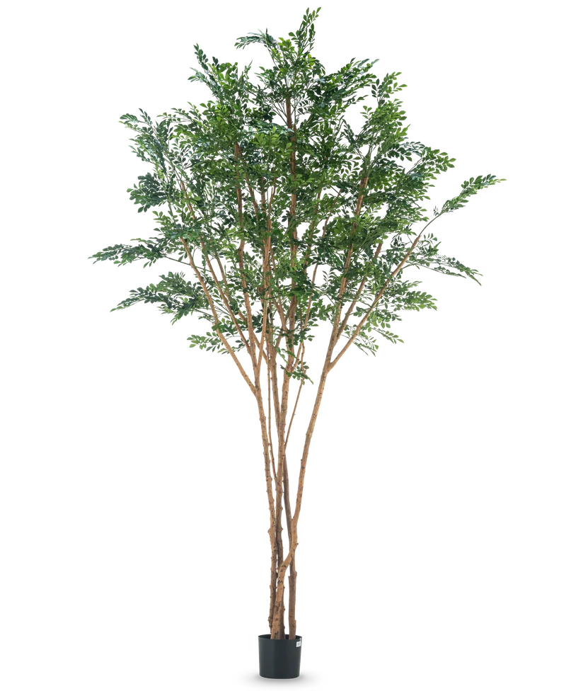 Kunstboom Murraya paniculata 300 cm