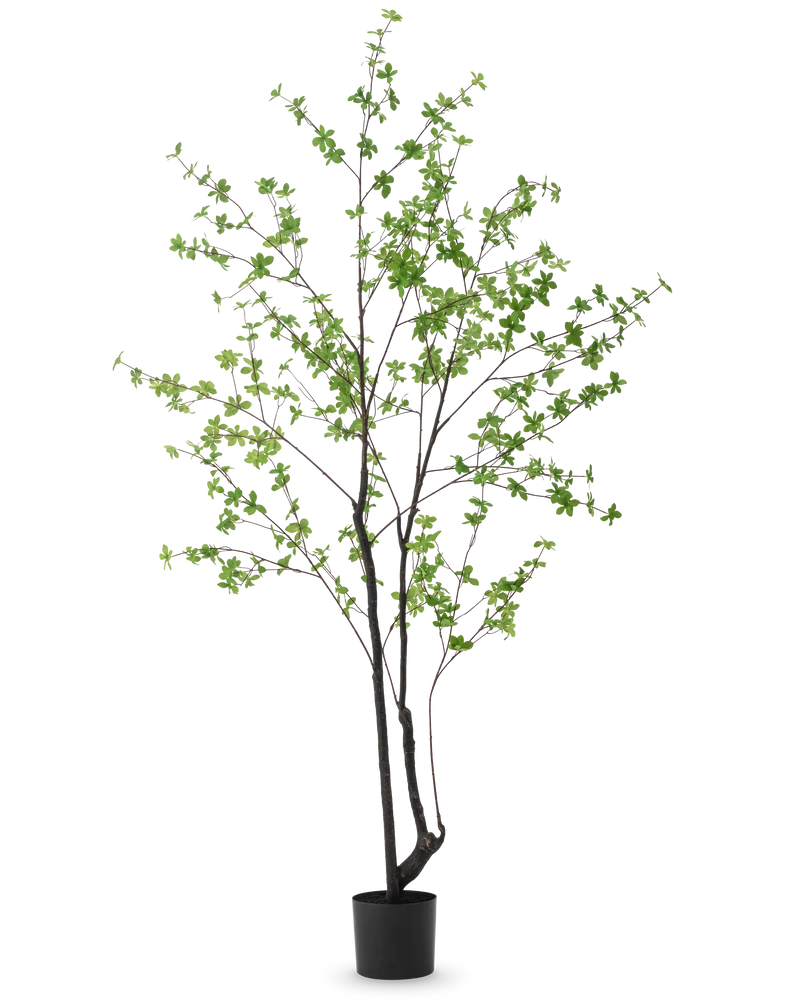 Kunstplant Enkianthus 210 cm
