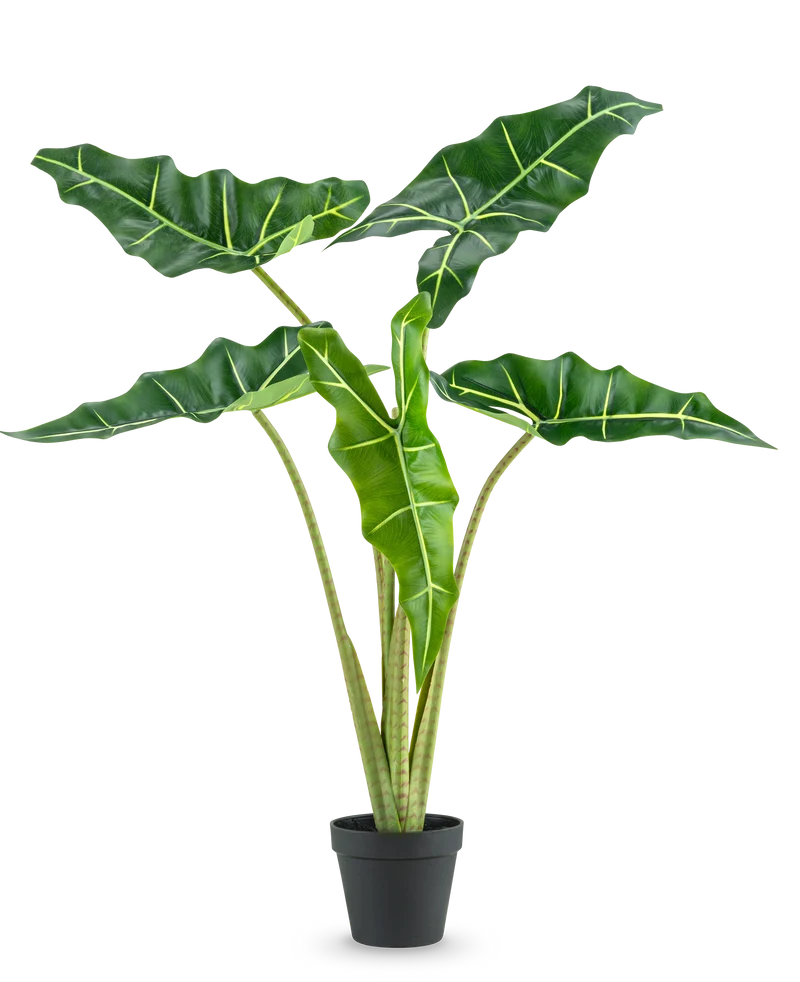 Kunstplant Alocasia 80 cm