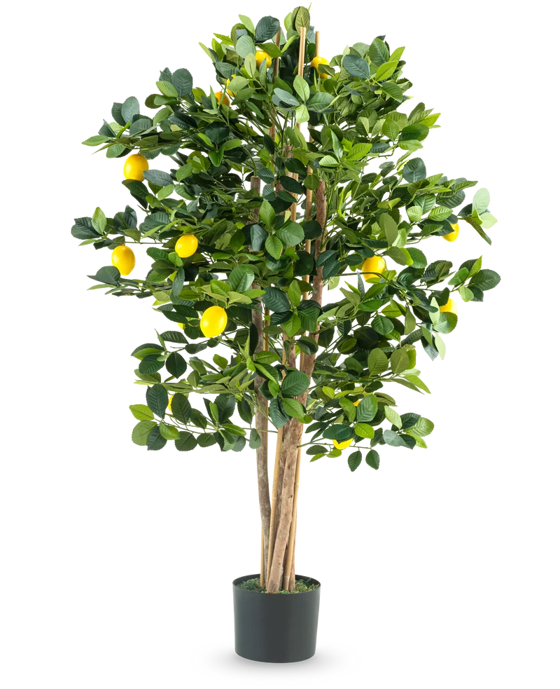Kunstplant Citroenboom 120 cm