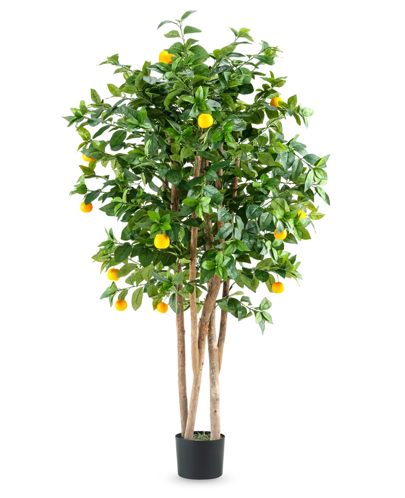 Kunstplant Sinaasappelboom 150 cm