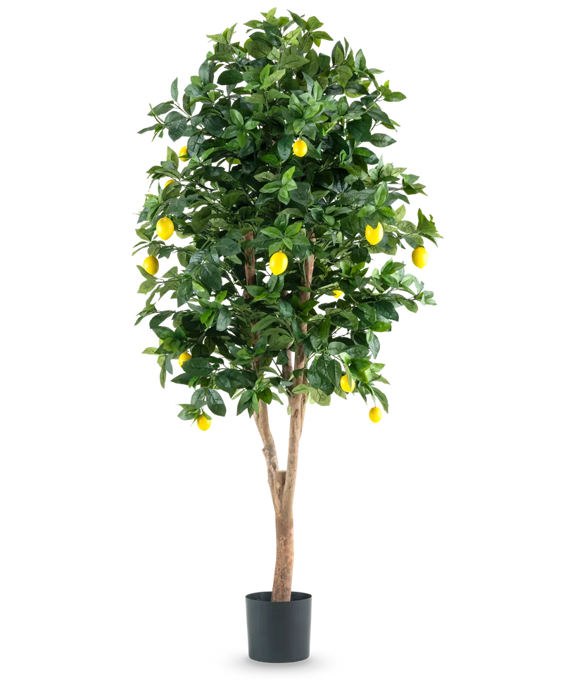 Kunstplant Citroenboom 180 cm