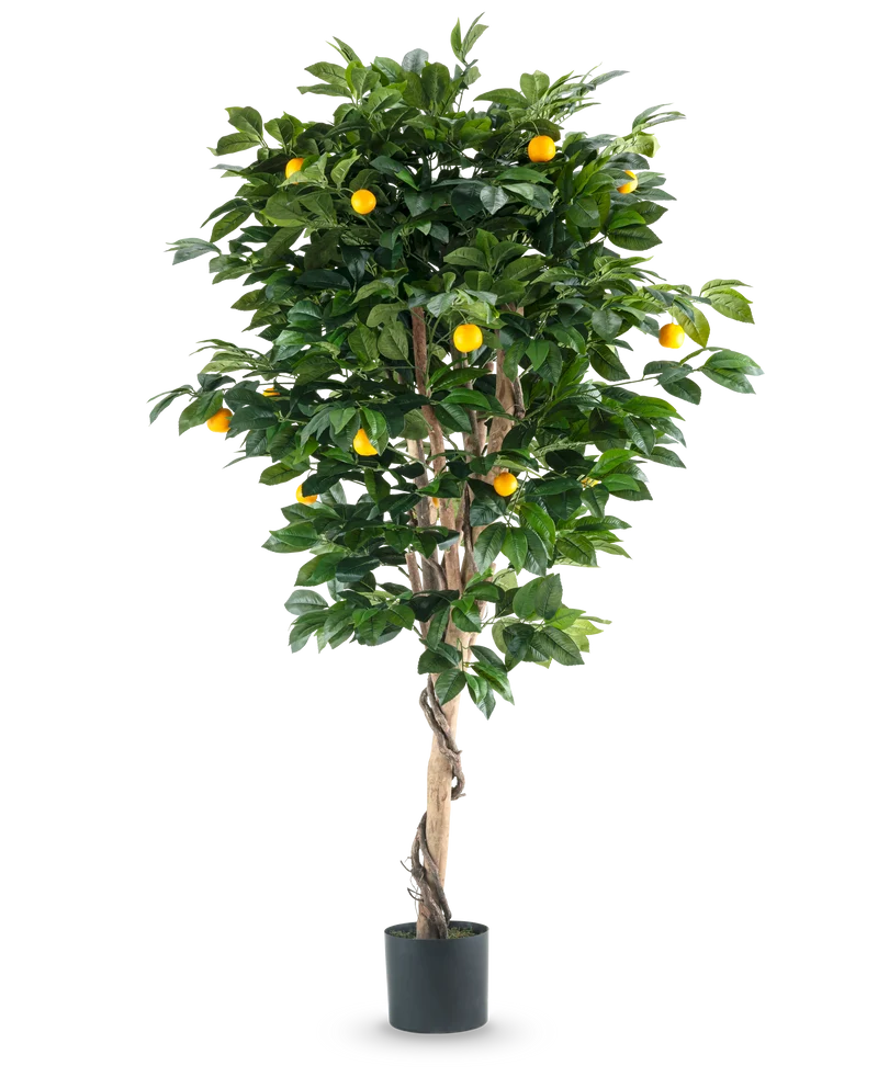 Kunstplant Sinaasappelboom 180 cm