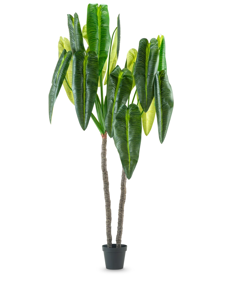 Kunstplant Anthurium 240 cm