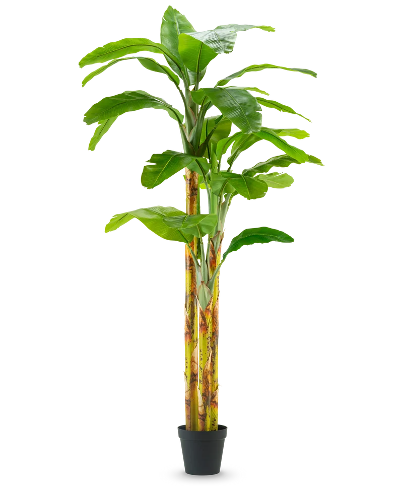 Kunstplant Bananenboom 270 cm