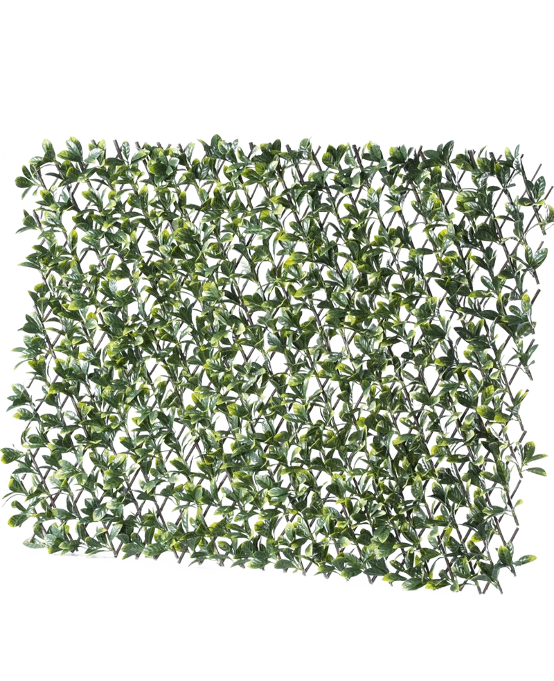 Kunsthaag Prunus Uitschuifbaar 200x100 cm