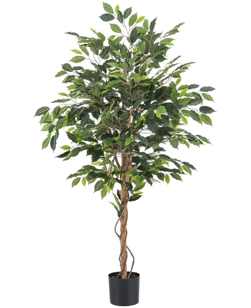 Kunstplant Ficus 150 cm brandvertragend