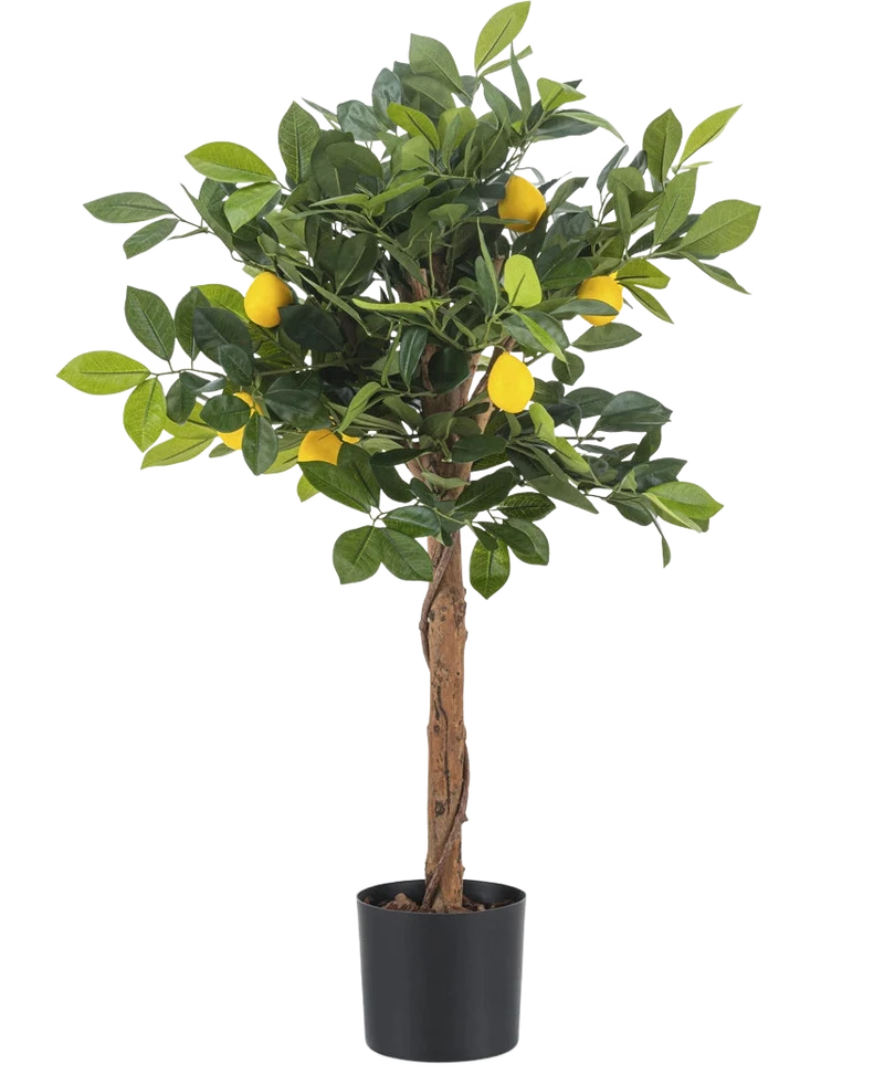 Kunstplant citroenboom 75 cm