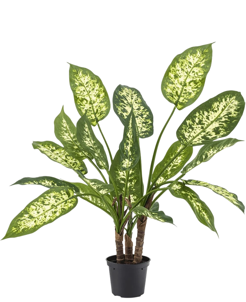 Kunstplant Dieffenbachia 40 cm
